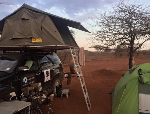 WWIF Prepares For Mini Expedition in South Africa